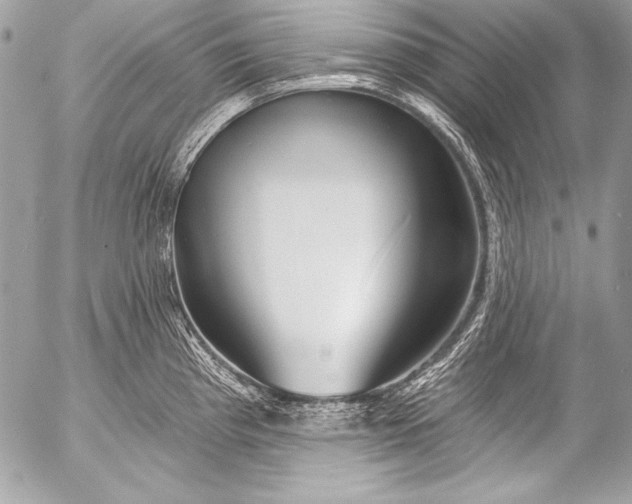 X0000053061193200507251441