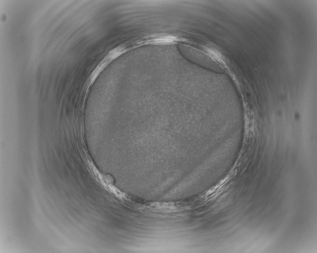 X0000053061194200507251441