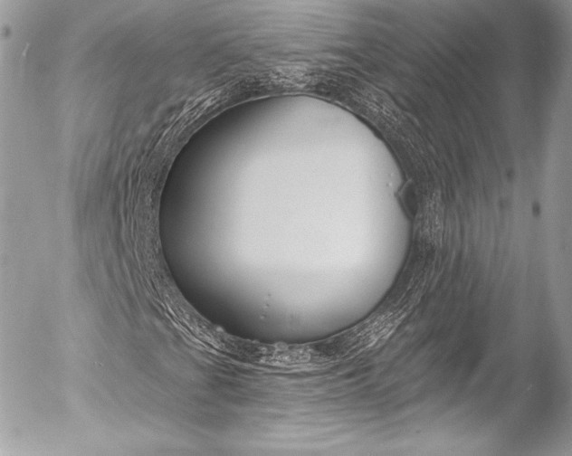 X0000053061201200507251440