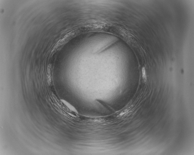 X0000053061203200507251440