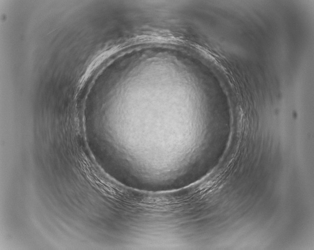 X0000053061215200507251440