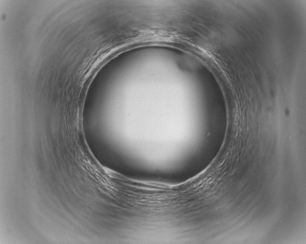 X0000053061220200507251440