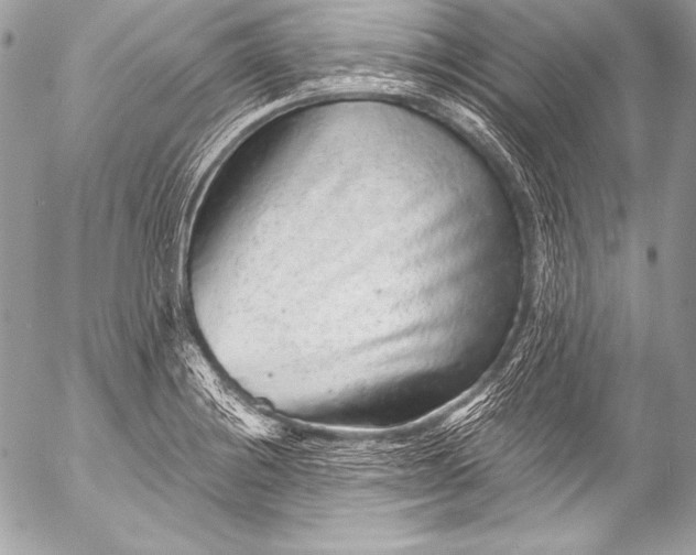 X0000053061228200507251440