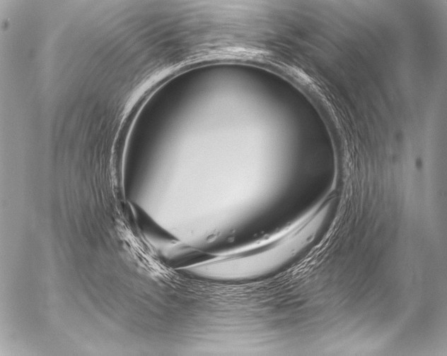 X0000053061230200507251440