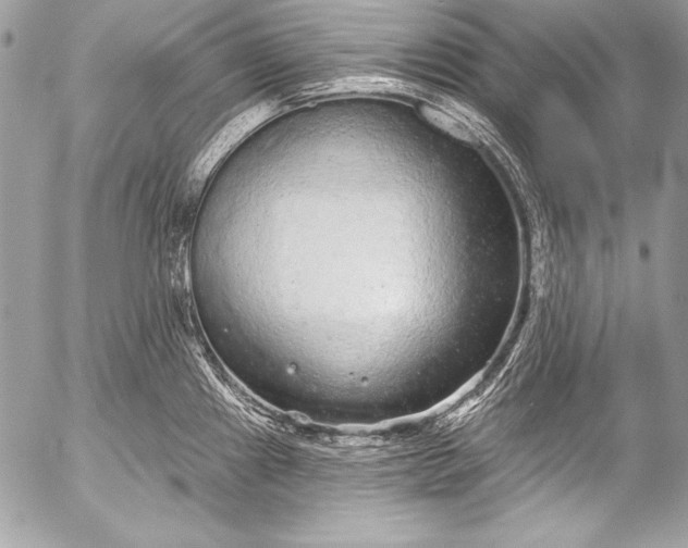 X0000053061241200507251440