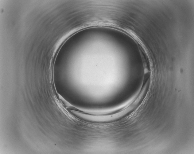 X0000053061246200507251441