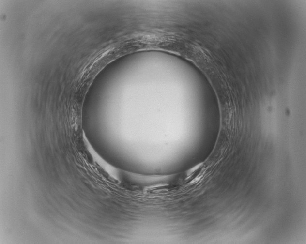 X0000053061253200507251440