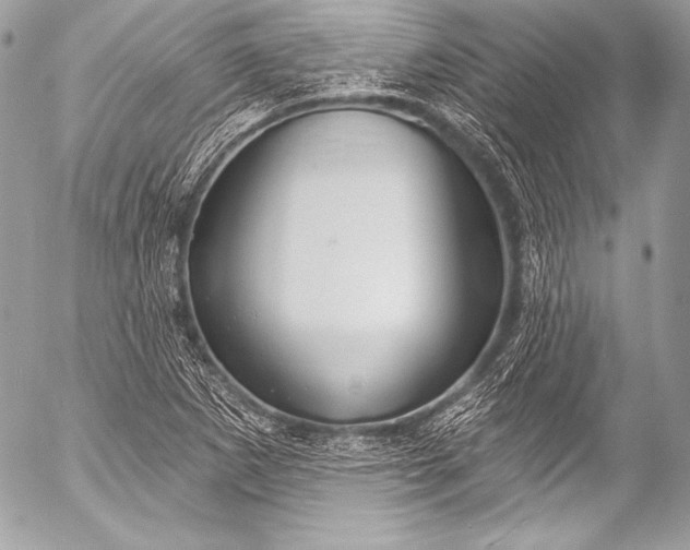 X0000053061265200507251439