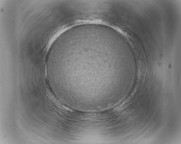 X0000053061271200507251439