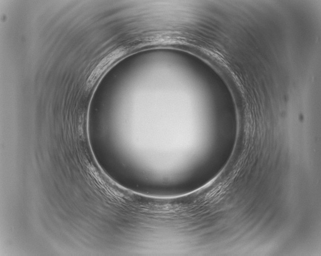 X0000053061273200507251439