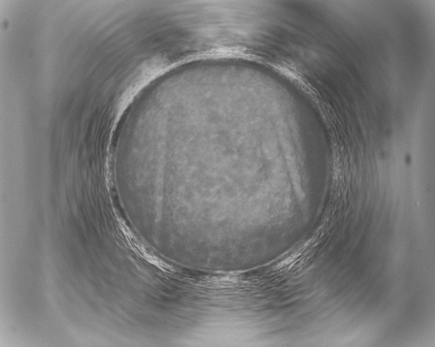 X0000053061278200507251439