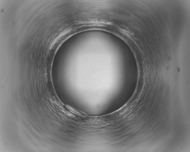 X0000053061307200507251438