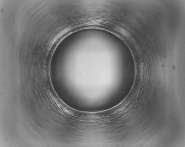 X0000053061308200507251438