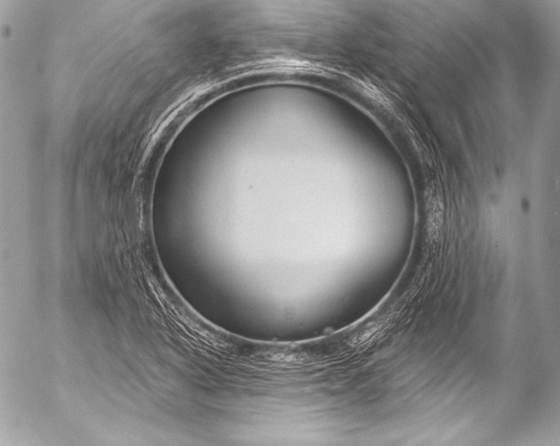 X0000053061318200507251439