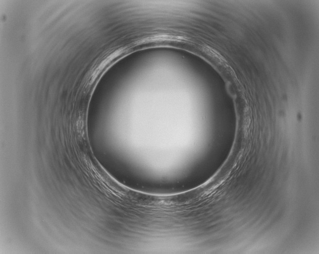 X0000053061321200507251439