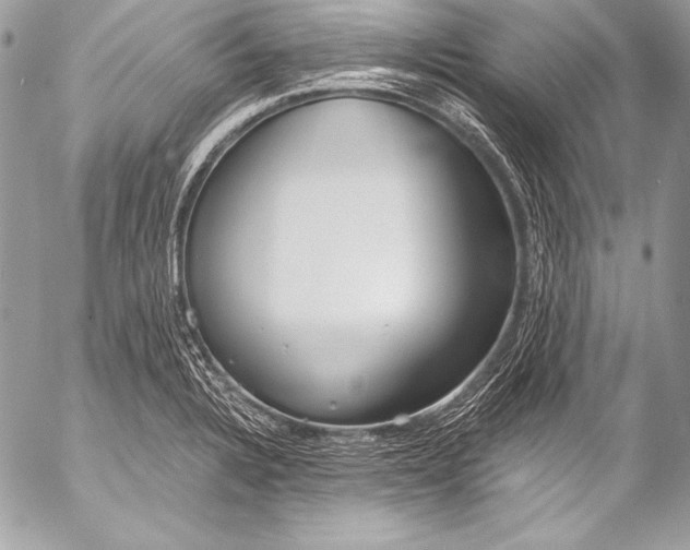 X0000053061328200507251439
