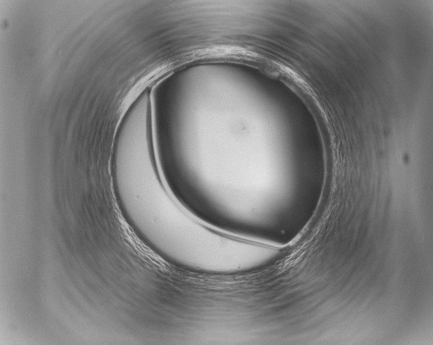X0000053061330200507251439
