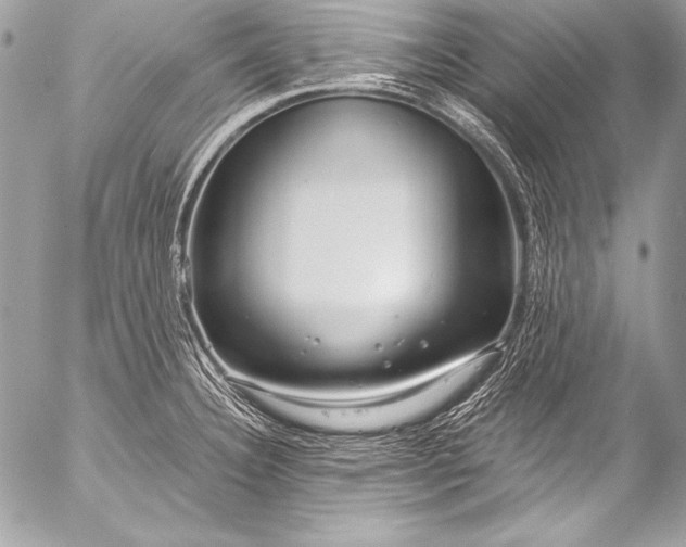X0000053061332200507251439