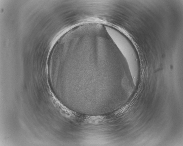 X0000053061335200507251439