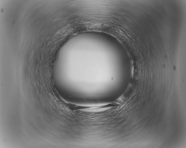 X0000053061345200507251438