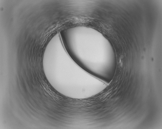 X0000053061348200507251438