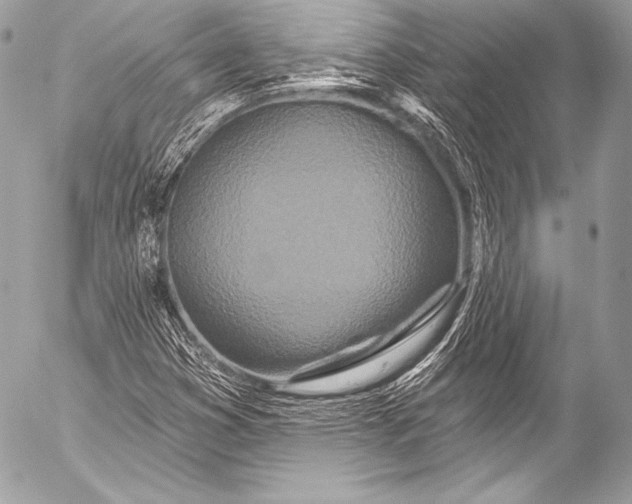 X0000053061353200507251438