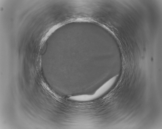 X0000053061367200507251438