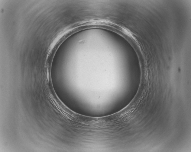 X0000053061368200507251438