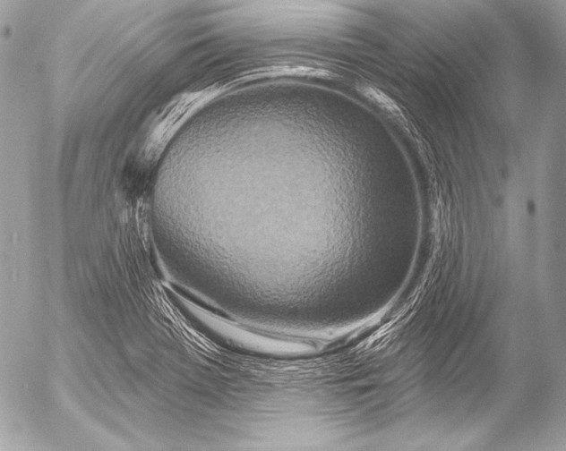 X0000053061369200507251438