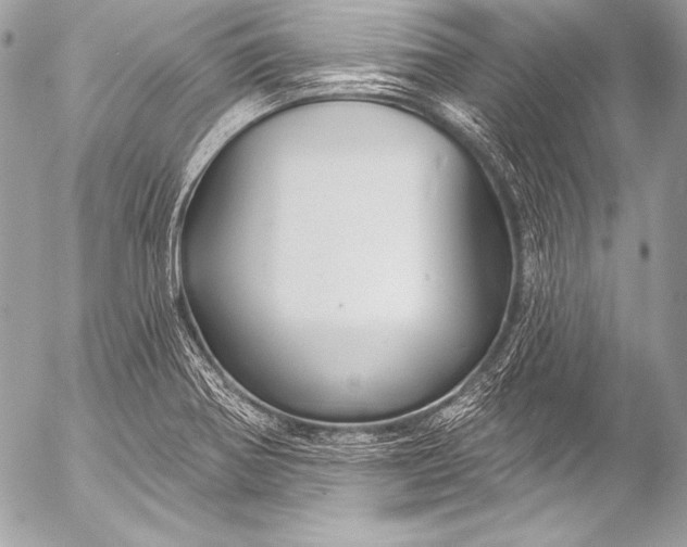 X0000053061370200507251438