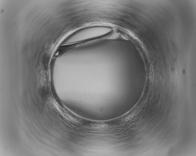 X0000053061372200507251438