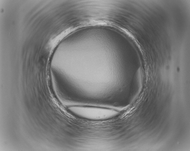 X0000053061373200507251438