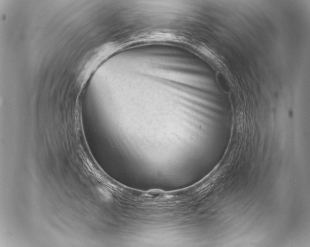 X0000053061374200507251438