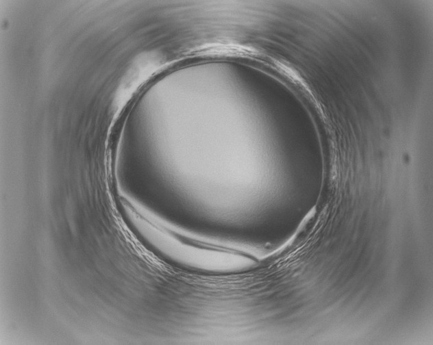X0000053061376200507251438