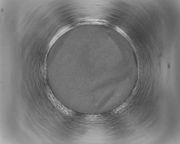 X0000053061378200507251438