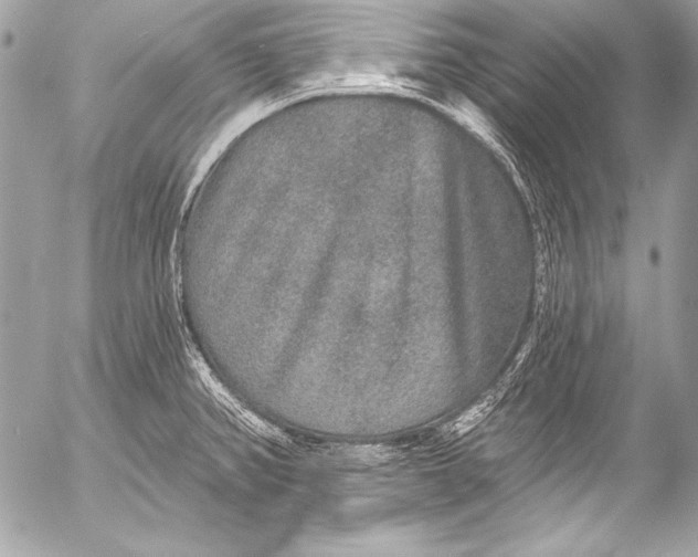 X0000053061382200507251438
