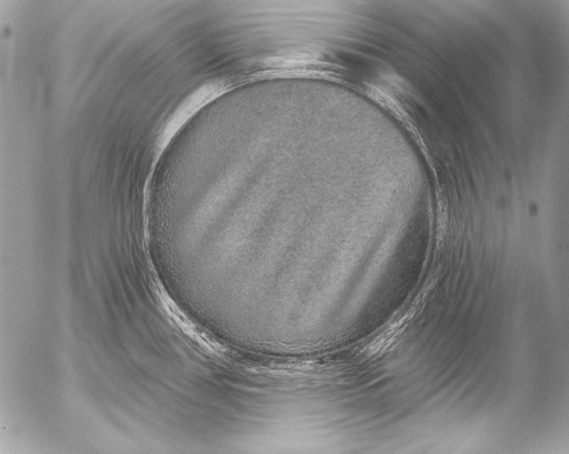 X0000053061386200507251438