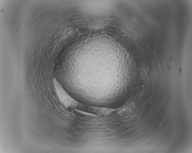 X0000053061393200507251437