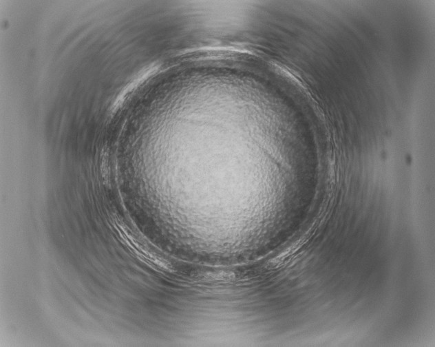 X0000053061403200507251437