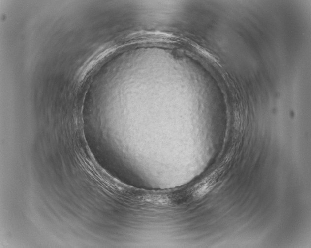 X0000053061407200507251437