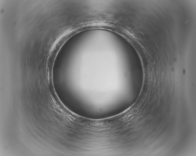 X0000053061408200507251437