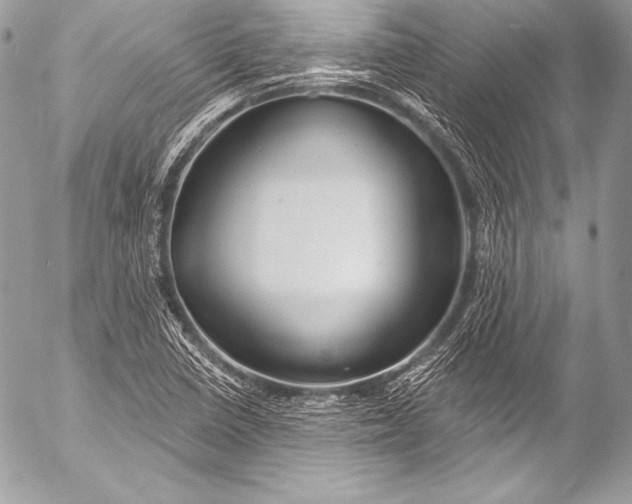 X0000053061410200507251437