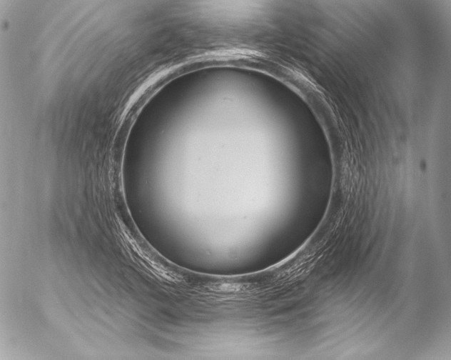 X0000053061412200507251437