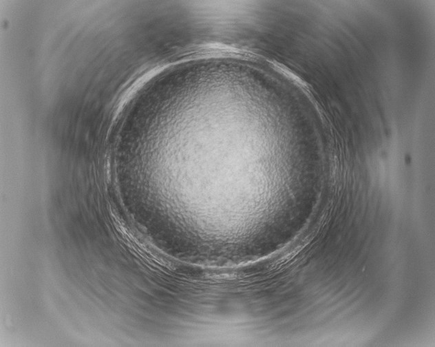 X0000053061415200507251437