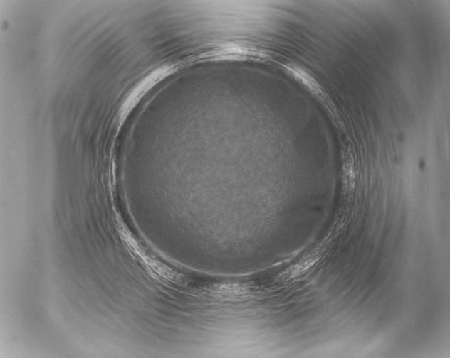 X0000053061418200507251437