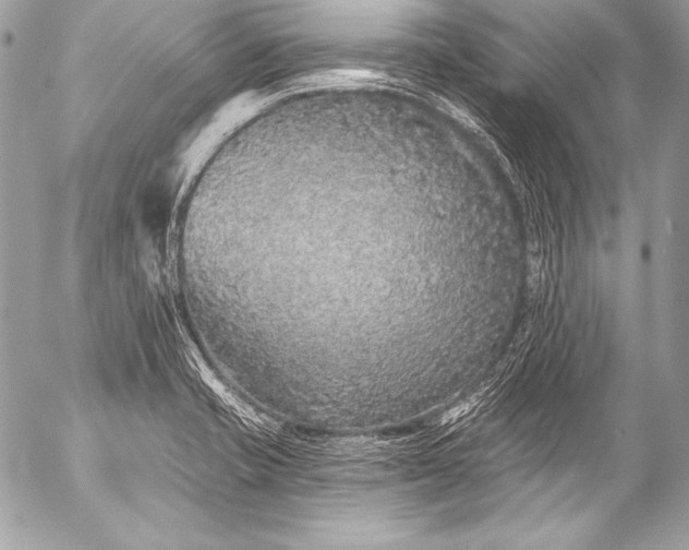 X0000053061421200507251437