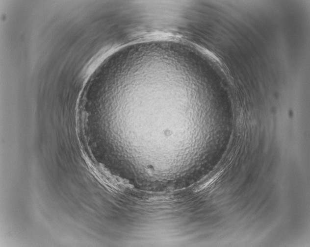 X0000053061423200507251437