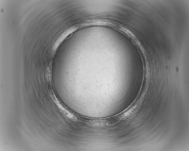 X0000053061433200507251437