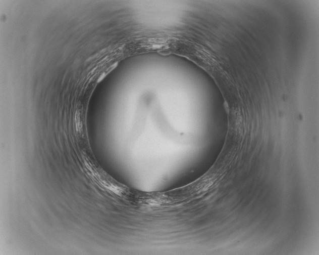 X0000053061442200507251437