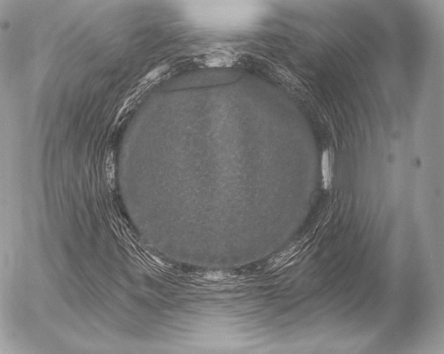 X0000053061443200507251437